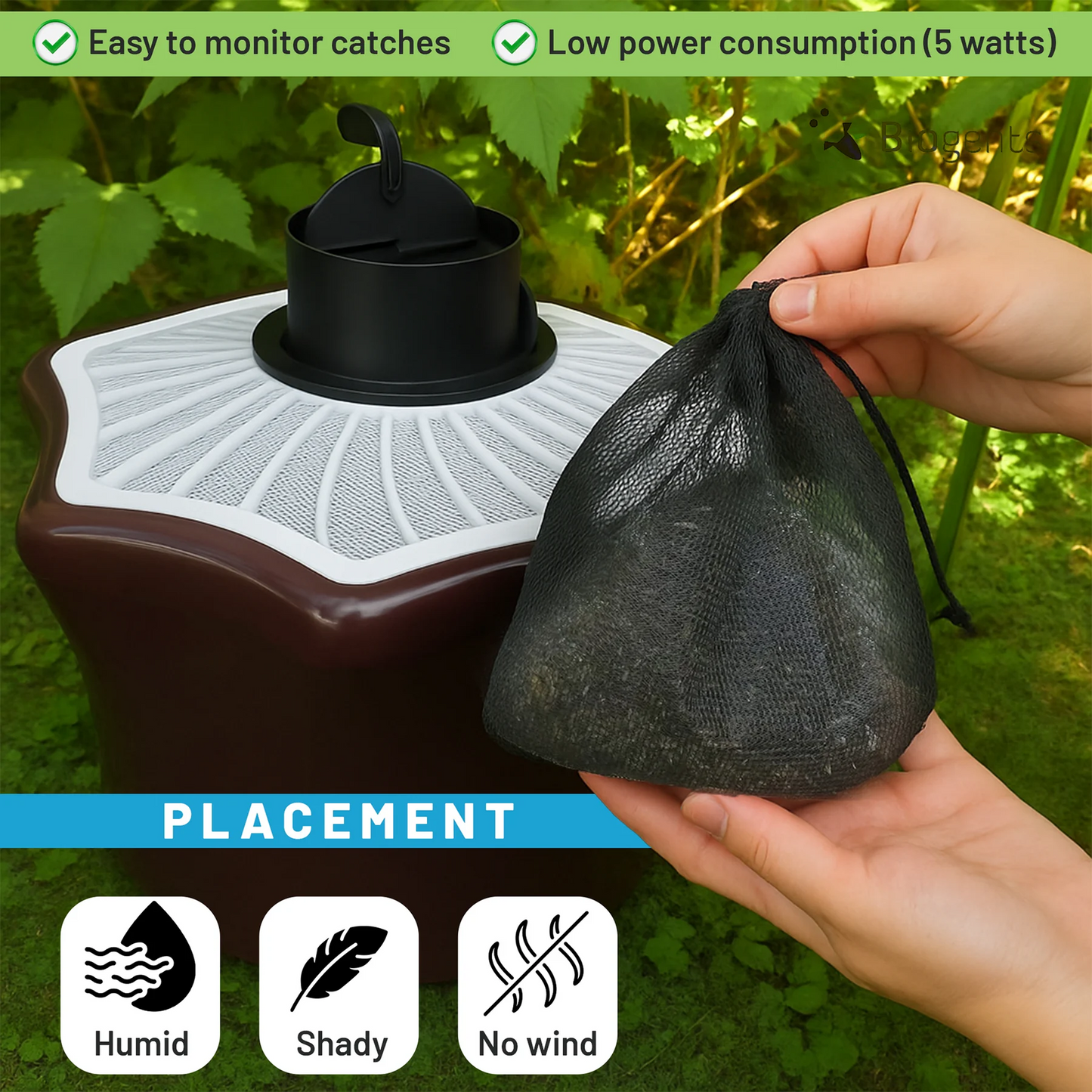 Mosquitaire