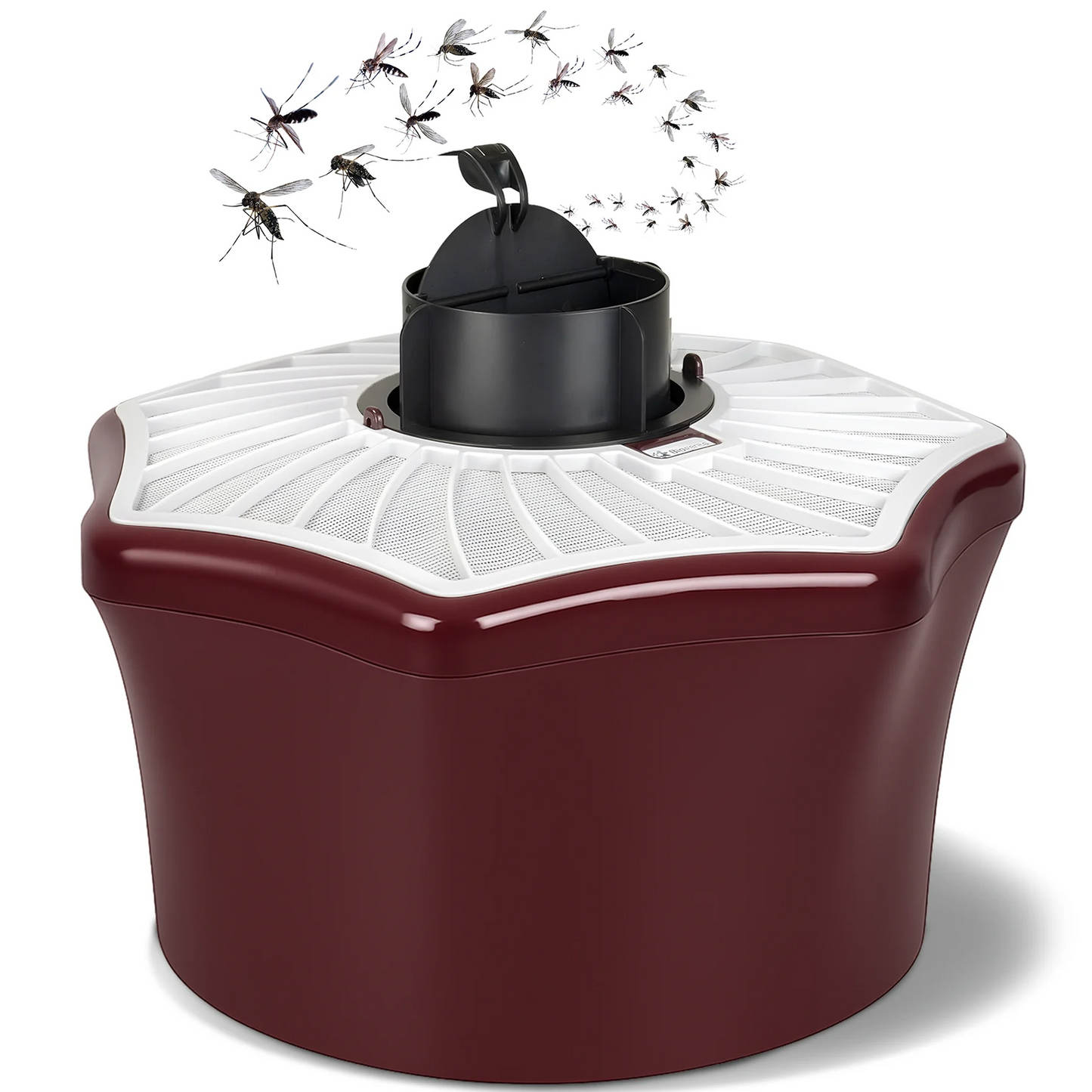 Mosquitaire